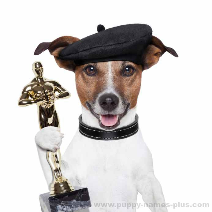 Celebrity dog accepting the Academy Award
